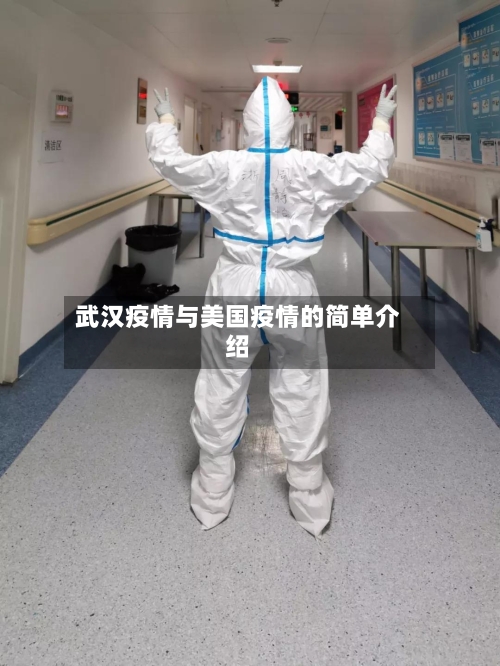 武汉疫情与美国疫情的简单介绍-第3张图片