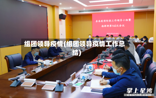 组团领导疫情(组团领导疫情工作总结)