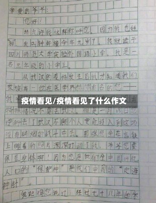 疫情看见/疫情看见了什么作文
