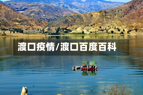 渡口疫情/渡口百度百科-第2张图片