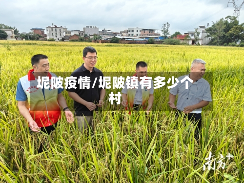 坭陂疫情/坭陂镇有多少个村