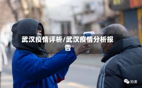 武汉疫情评析/武汉疫情分析报告