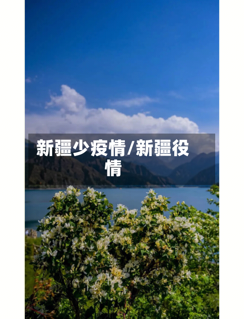 新疆少疫情/新疆役情