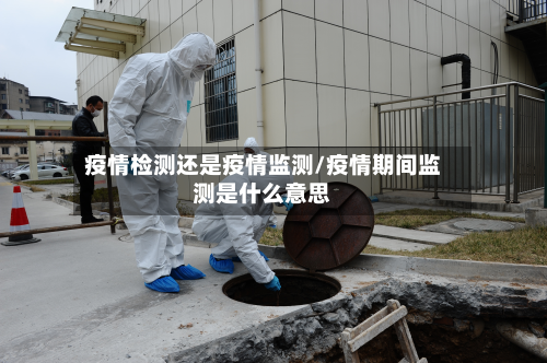 疫情检测还是疫情监测/疫情期间监测是什么意思-第3张图片