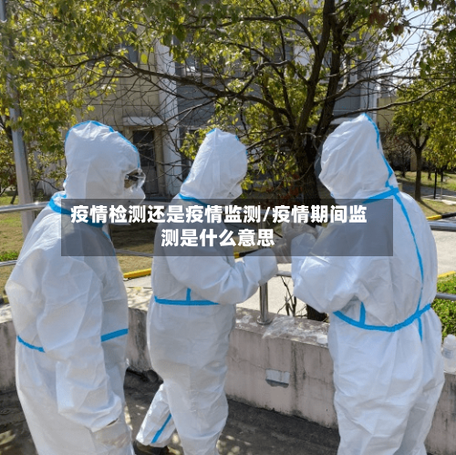 疫情检测还是疫情监测/疫情期间监测是什么意思-第2张图片