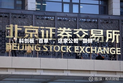 科创板“首单”，这家公司“尝鲜”！-第2张图片