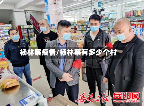 杨林寨疫情/杨林寨有多少个村