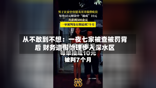 从不敢到不想：一夜七家被查被罚背后 财务造假治理步入深水区