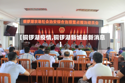 【铜锣湖疫情,铜锣湖新城最新消息】-第2张图片