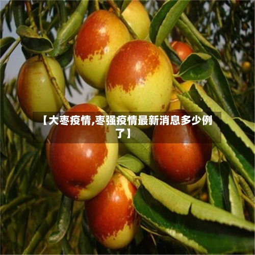 【大枣疫情,枣强疫情最新消息多少例了】-第2张图片