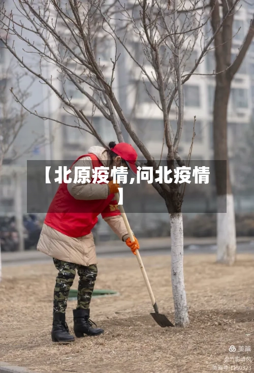 【北原疫情,问北疫情】-第2张图片
