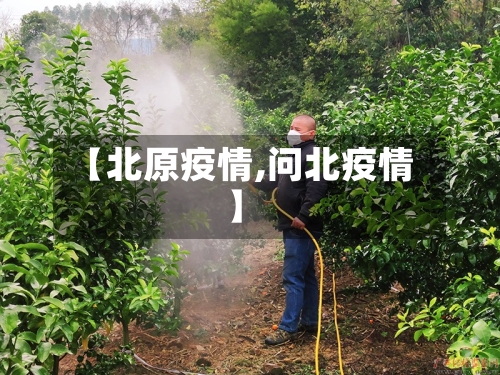 【北原疫情,问北疫情】-第3张图片