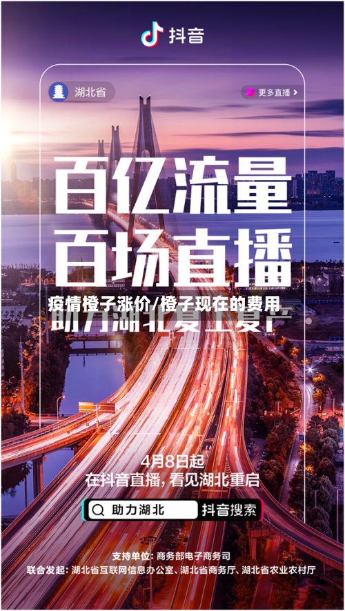 疫情橙子涨价/橙子现在的费用