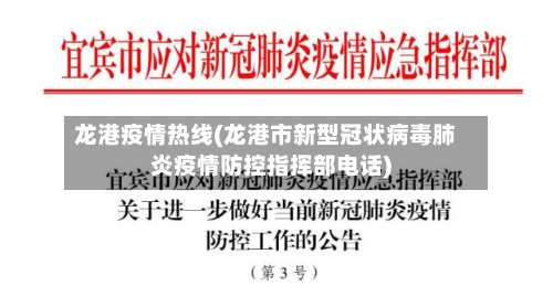 龙港疫情热线(龙港市新型冠状病毒肺炎疫情防控指挥部电话)-第2张图片