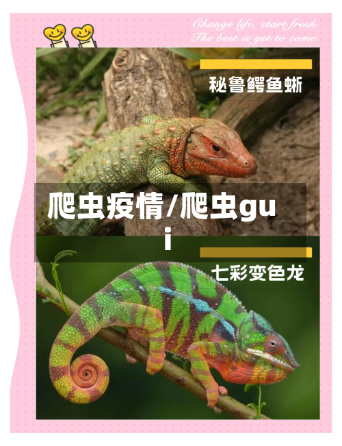 爬虫疫情/爬虫gui