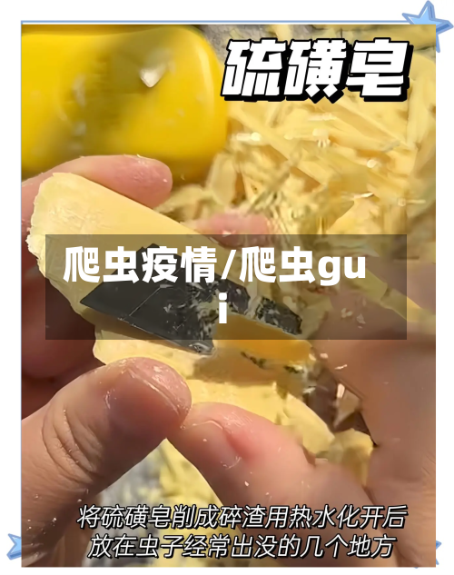 爬虫疫情/爬虫gui-第3张图片