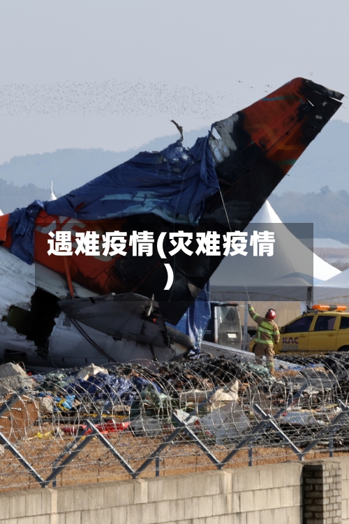 遇难疫情(灾难疫情)
