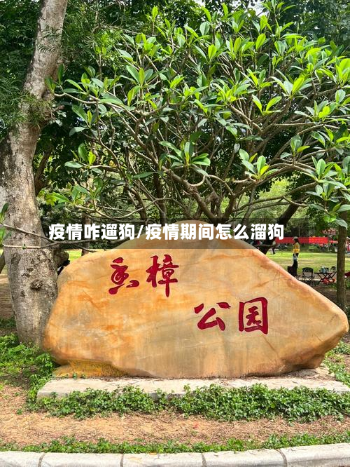 疫情咋遛狗/疫情期间怎么溜狗