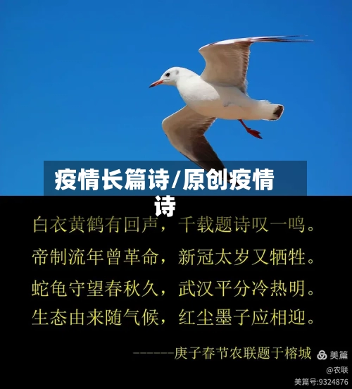 疫情长篇诗/原创疫情诗