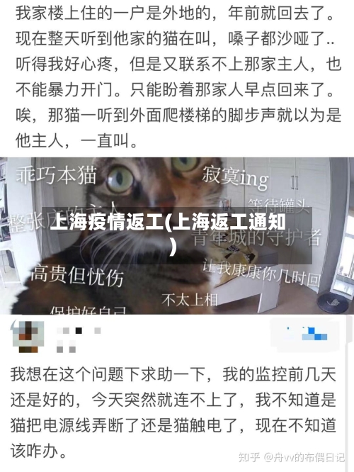 上海疫情返工(上海返工通知)-第3张图片