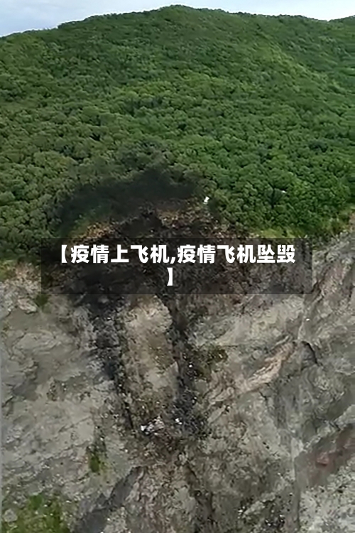 【疫情上飞机,疫情飞机坠毁】-第2张图片