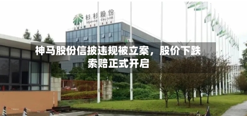 神马股份信披违规被立案，股价下跌索赔正式开启-第2张图片