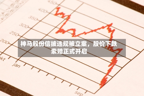 神马股份信披违规被立案，股价下跌索赔正式开启-第3张图片