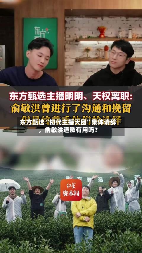 东方甄选“初代主播天团”集体请辞，俞敏洪道歉有用吗？