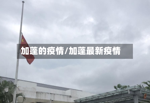 加蓬的疫情/加蓬最新疫情-第2张图片