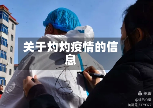 关于灼灼疫情的信息