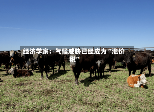 经济学家：气候威胁已经成为“涨价税	”-第3张图片