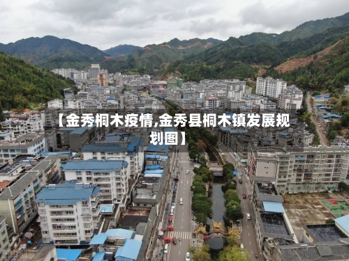【金秀桐木疫情,金秀县桐木镇发展规划图】