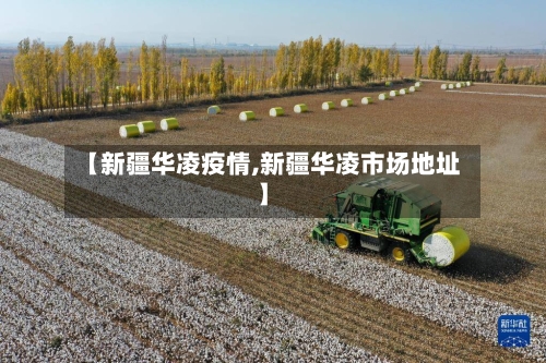 【新疆华凌疫情,新疆华凌市场地址】