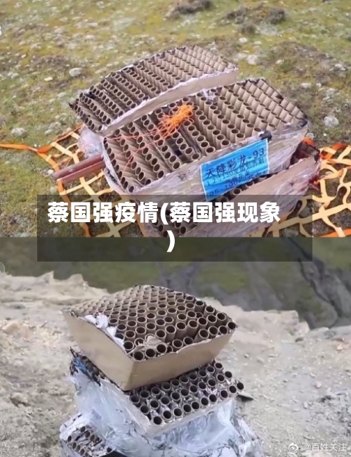 蔡国强疫情(蔡国强现象)-第3张图片