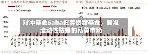 对冲基金Saba拟募资新基金	，瞄准流动性枯竭的私募市场-第2张图片