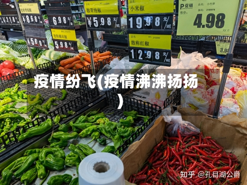 疫情纷飞(疫情沸沸扬扬)-第2张图片