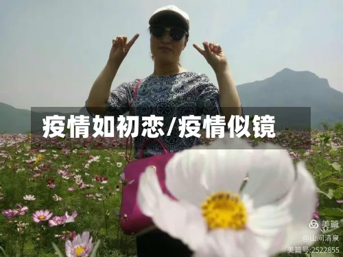 疫情如初恋/疫情似镜