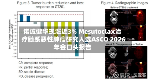 诺诚健华现涨近3% Mesutoclax治疗髓系恶性肿瘤研究入选ASCO 2026年会口头报告