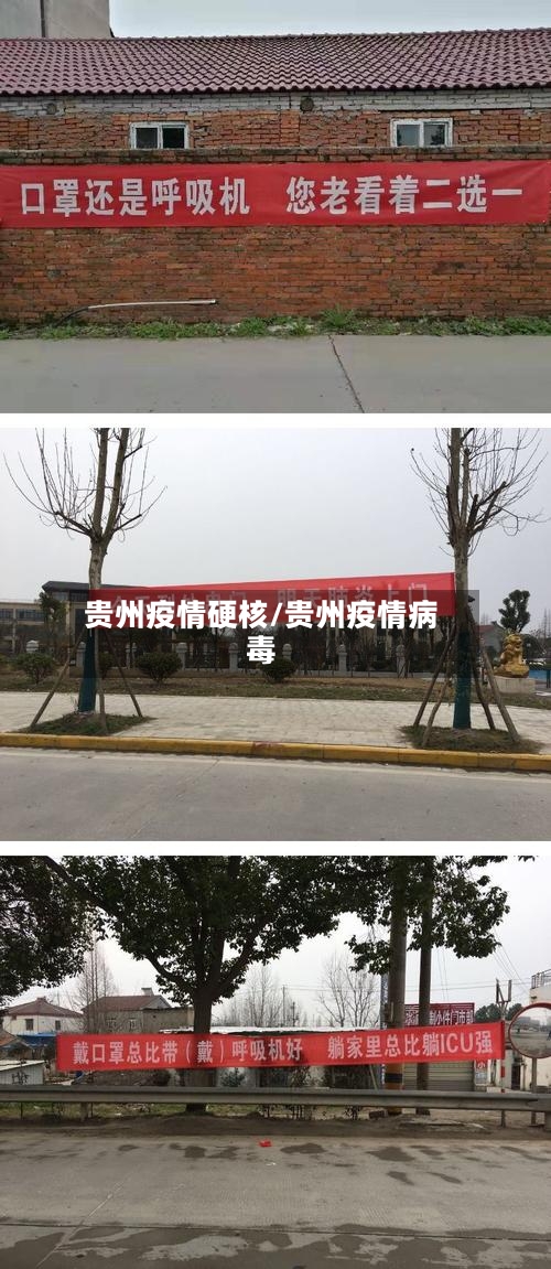 贵州疫情硬核/贵州疫情病毒-第3张图片