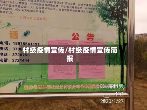 村级疫情宣传/村级疫情宣传简报