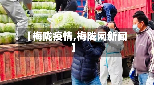 【梅陇疫情,梅陇网新闻】