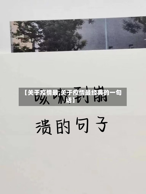 【关于疫情最,关于疫情最经典的一句话】-第2张图片
