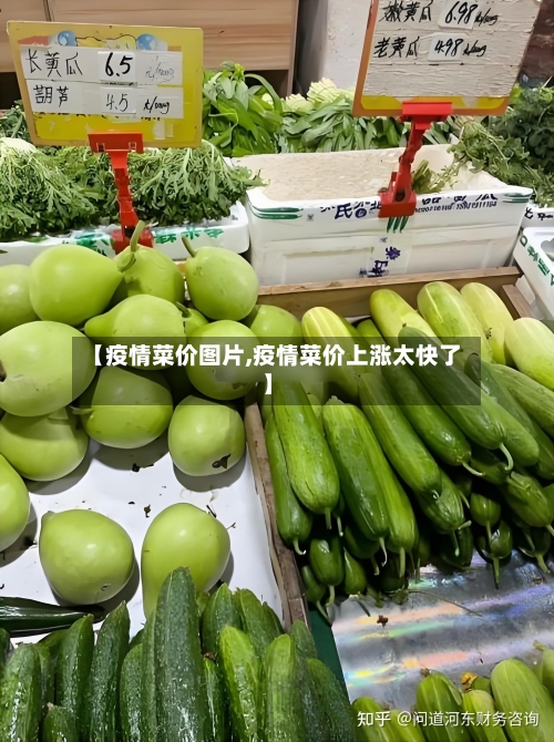 【疫情菜价图片,疫情菜价上涨太快了】-第2张图片