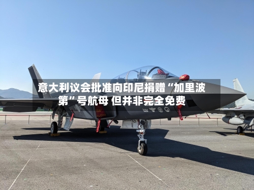 意大利议会批准向印尼捐赠“加里波第	”号航母 但并非完全免费-第2张图片