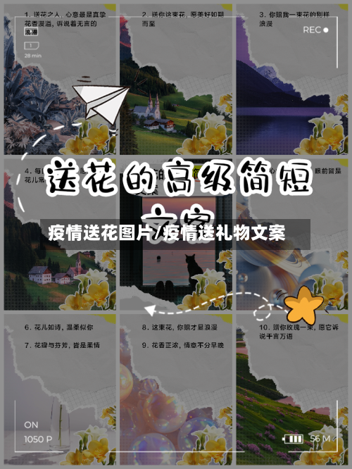 疫情送花图片/疫情送礼物文案