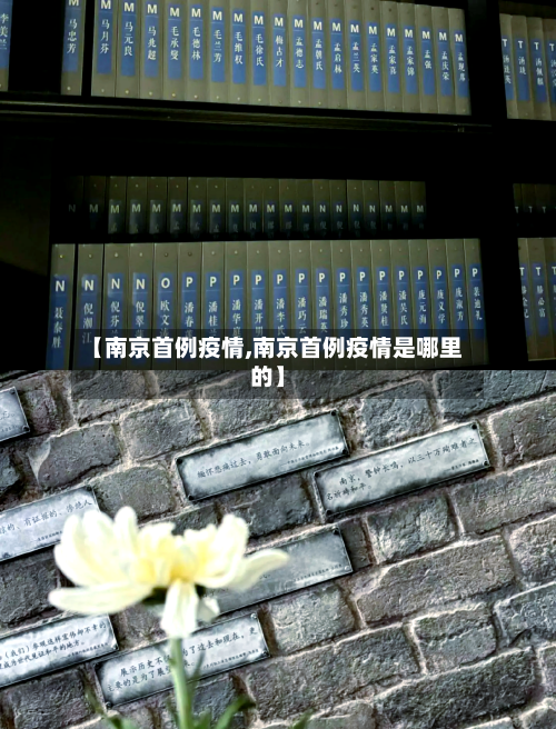 【南京首例疫情,南京首例疫情是哪里的】