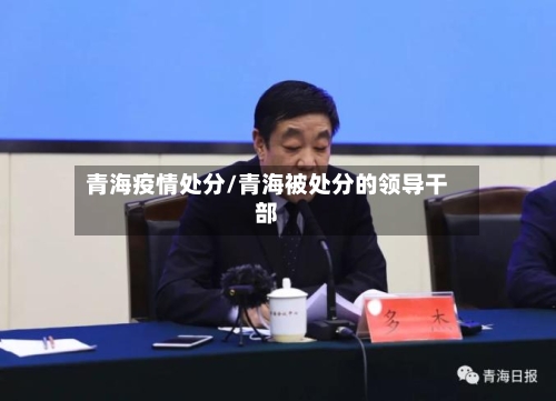 青海疫情处分/青海被处分的领导干部