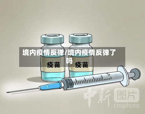 境内疫情反弹/境内疫情反弹了吗