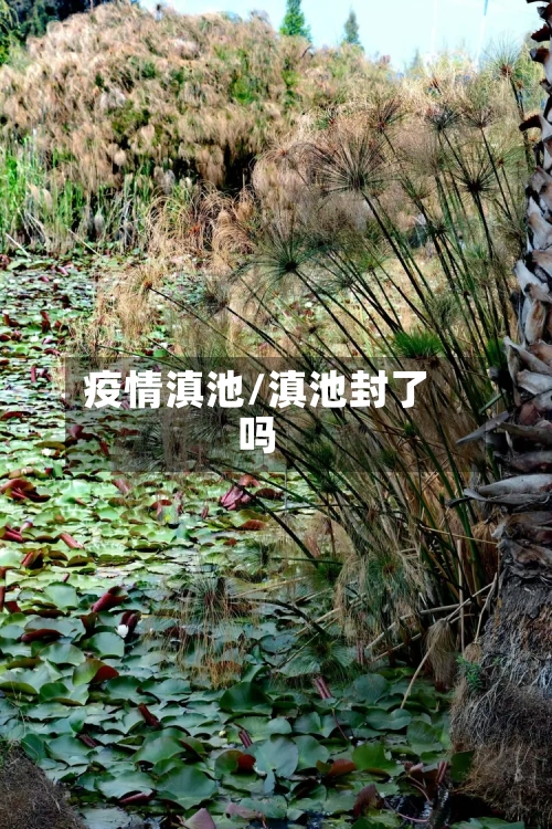 疫情滇池/滇池封了吗-第2张图片