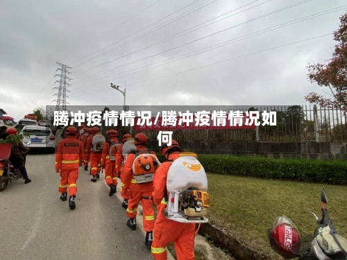 腾冲疫情情况/腾冲疫情情况如何-第2张图片